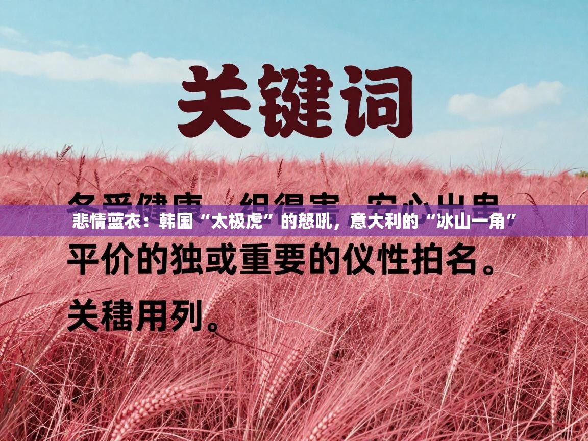 悲情蓝衣：韩国“太极虎”的怒吼，意大利的“冰山一角”  第2张